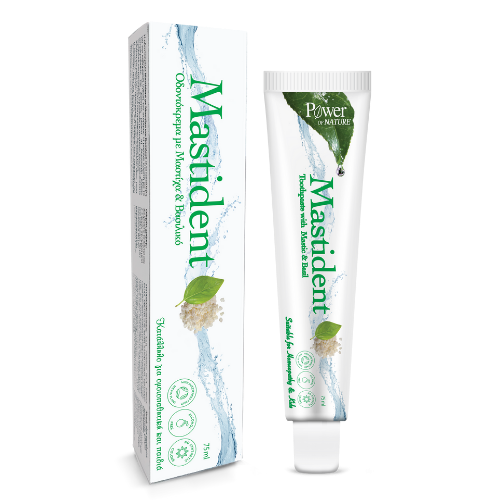 POWER MASTIDENT TOOTHPASTE 75ml